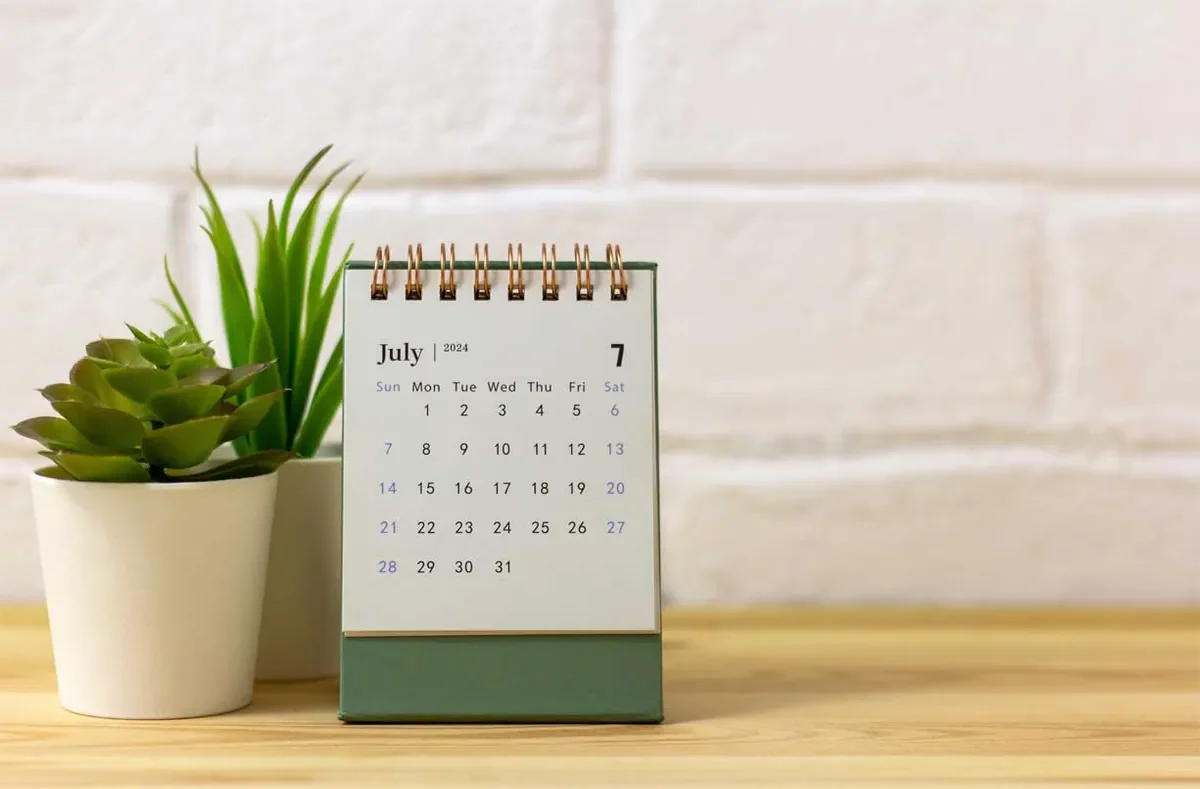 Ricoh Calendars